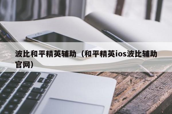 波比和平精英辅助（和平精英ios波比辅助官网）  第1张